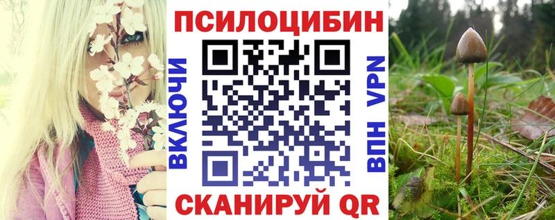 цена наркотик  Ливны  Псилоцибиновые грибы Cubensis 